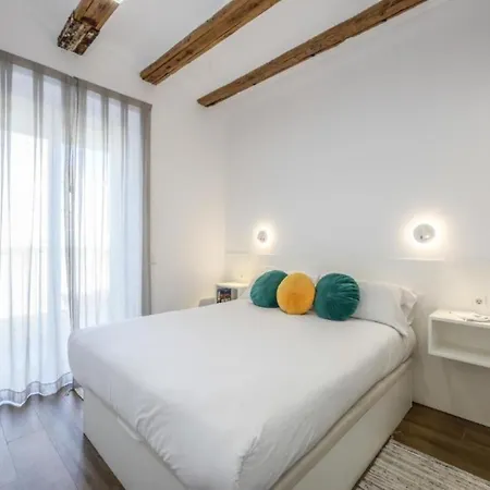 Amazinn Collection Centro Evi